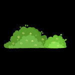 春季绿色的一簇草丛