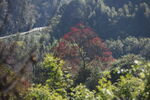 乡村景观