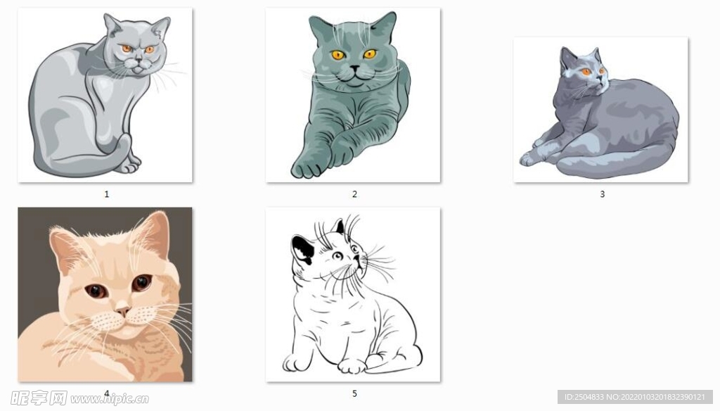 猫