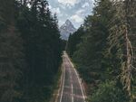 山