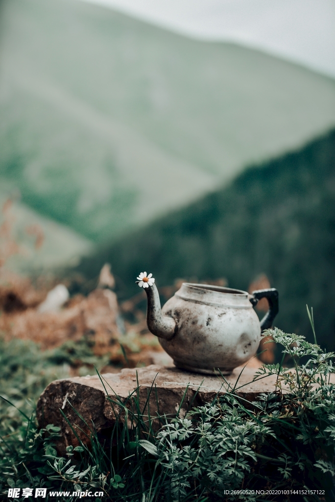 山