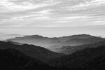 山