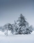 雪景