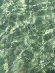 水波纹