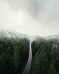 风景