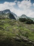 山