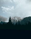 山
