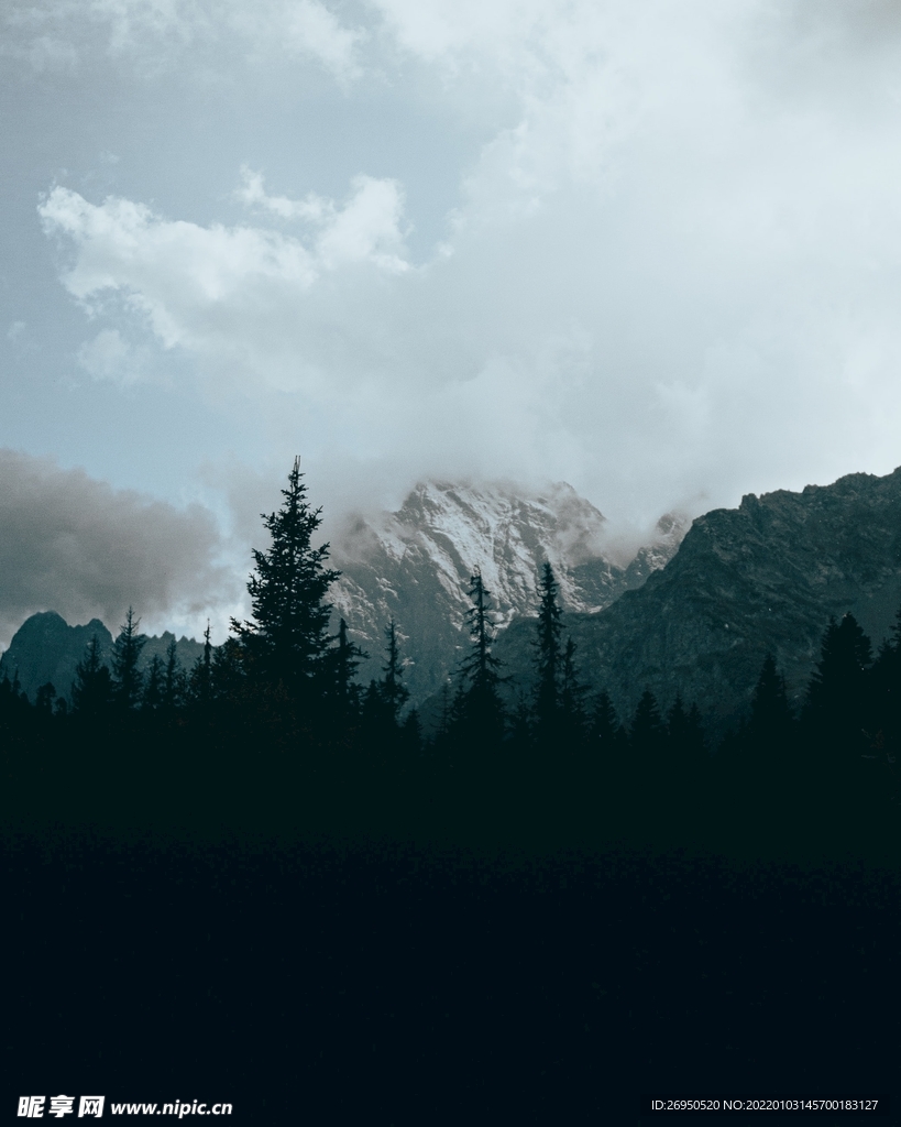 山