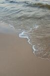 海