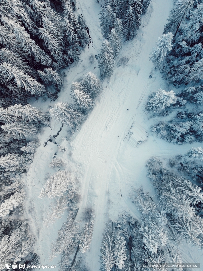 雪景