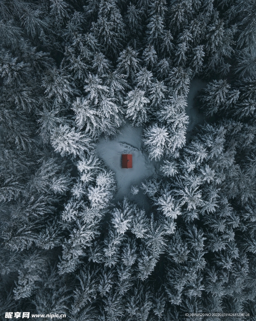 雪景