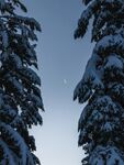 雪景