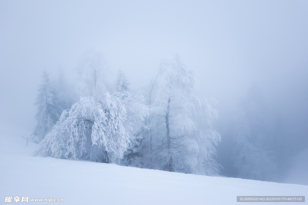 雪景