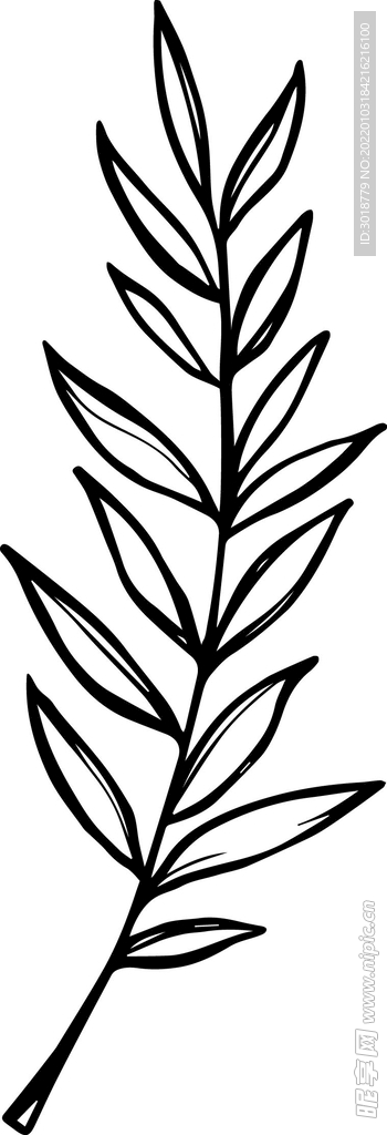 树叶