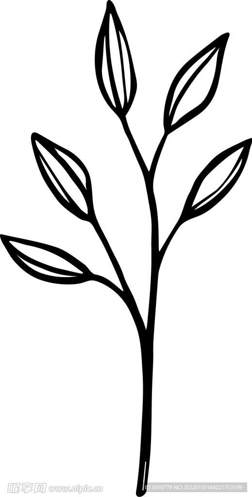 树叶