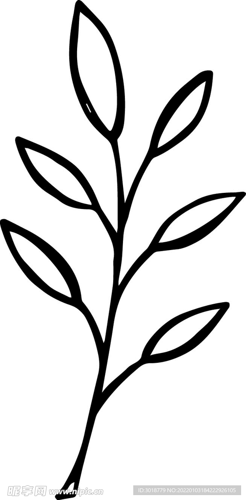 树叶