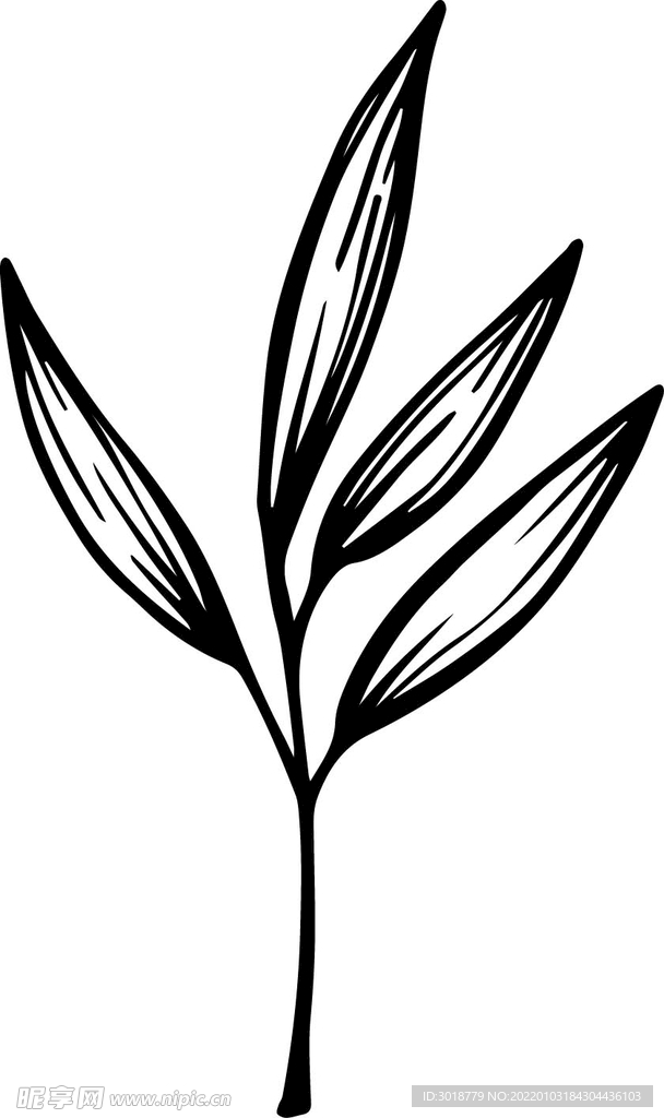 树叶