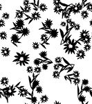 大牌 黑白花