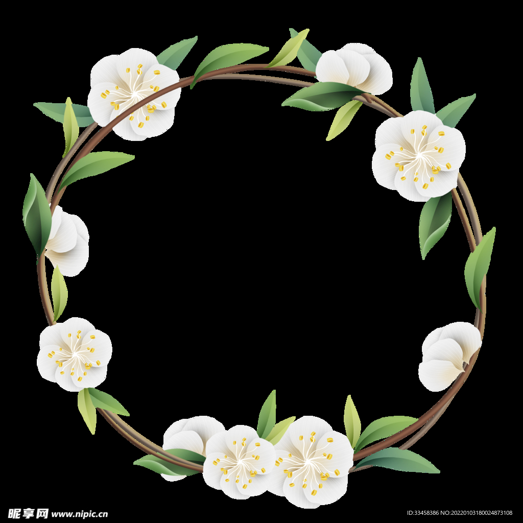 春天 春季 四季 鲜花 杏花 