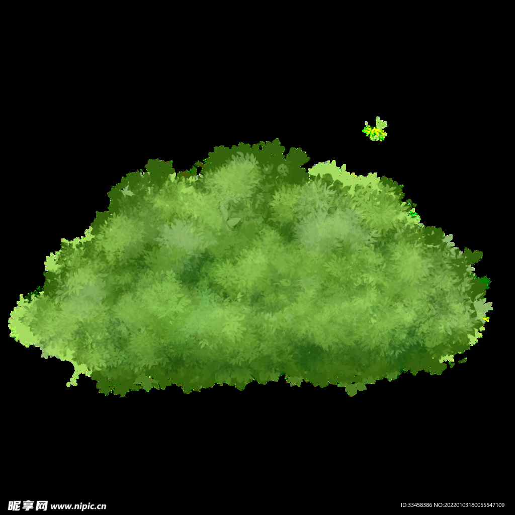 春天 小清新草地草簇草丛