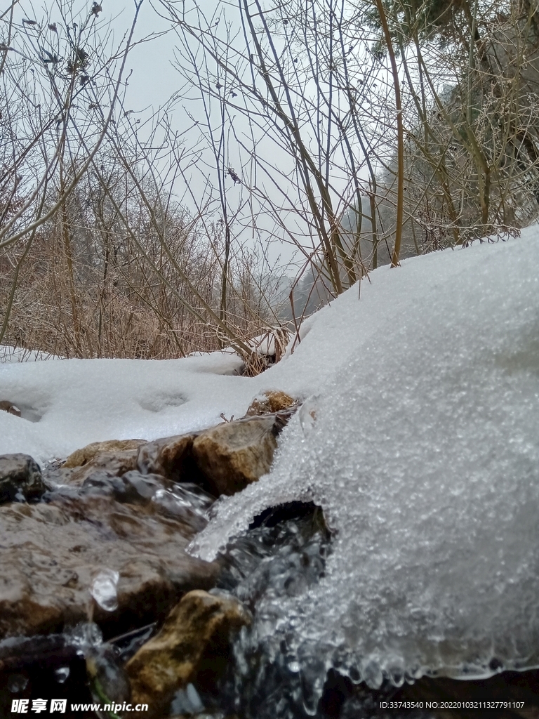 雪