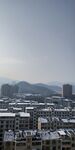 城市下雪图