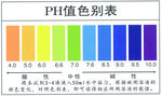 PH值色别表  卡片  水质