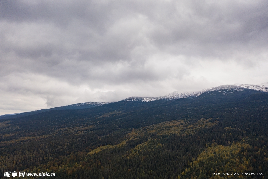 波兰克尔科诺谢山自然风景