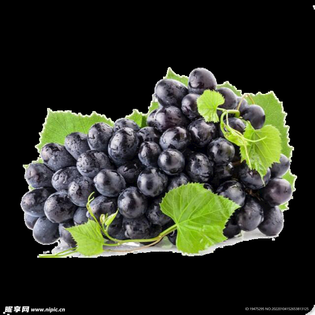黑提