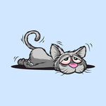 猫