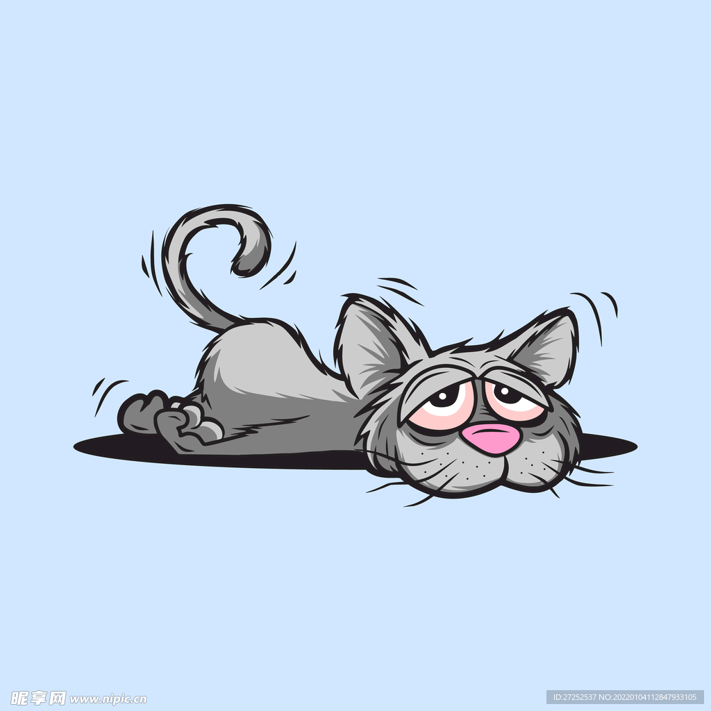 猫