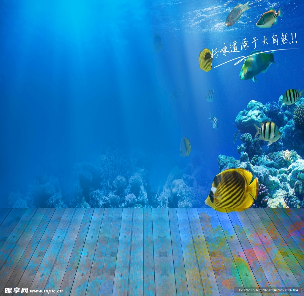 海鲜背景