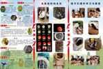 保护动物宣传