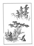 树枝