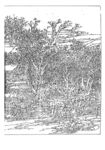 白描山水