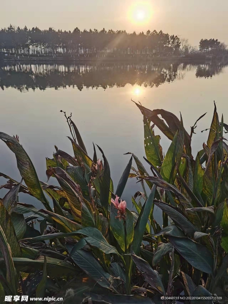 远景与近景