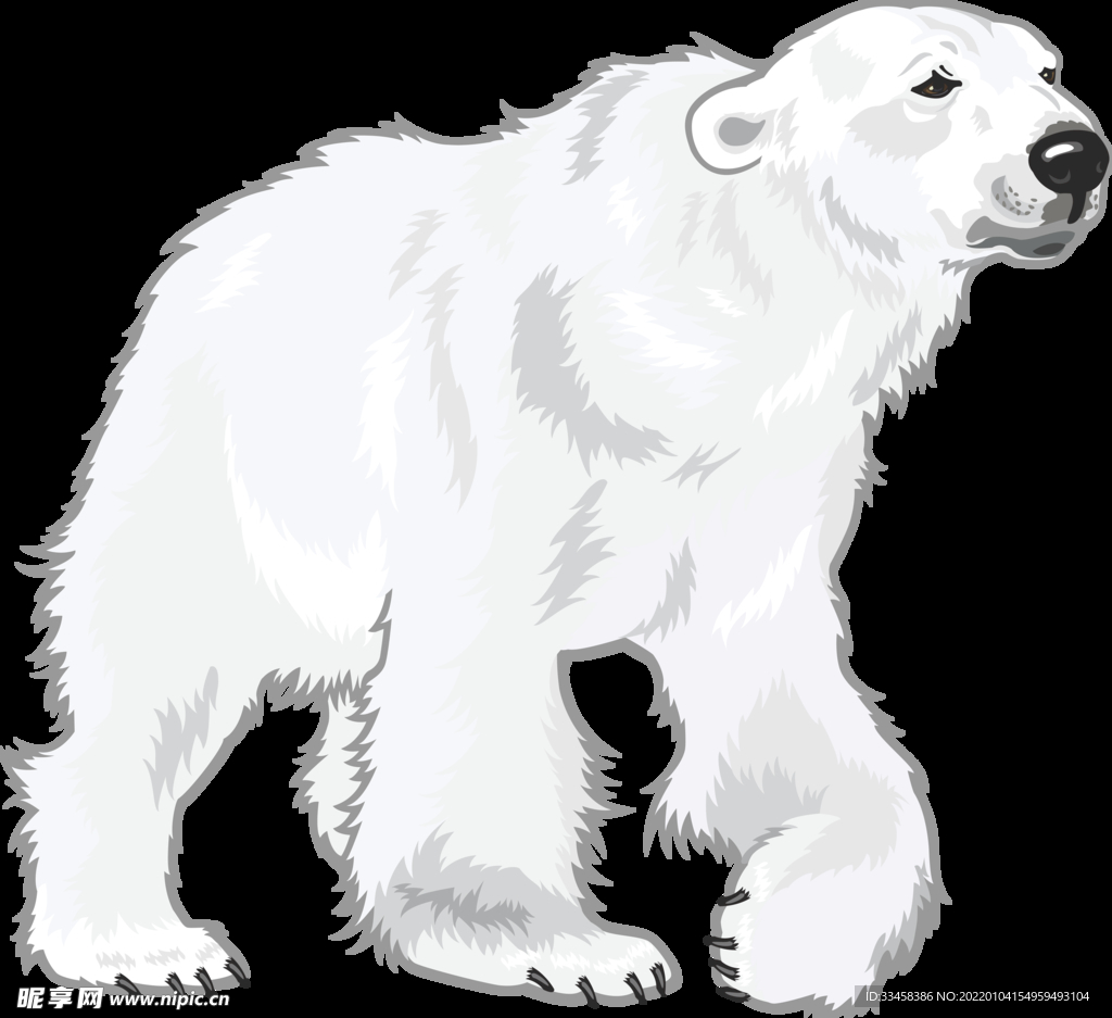 北极熊 白色 动物 憨憨 寒冷