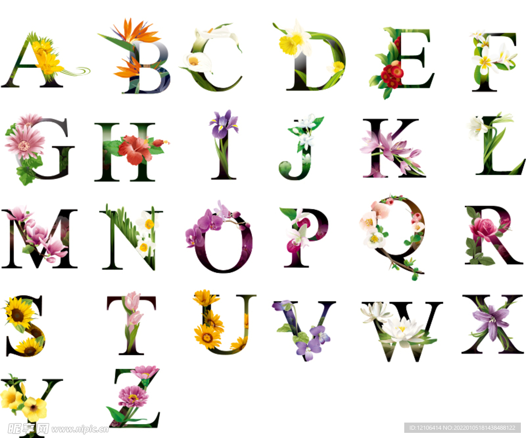 花朵字母矢量