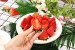 草莓