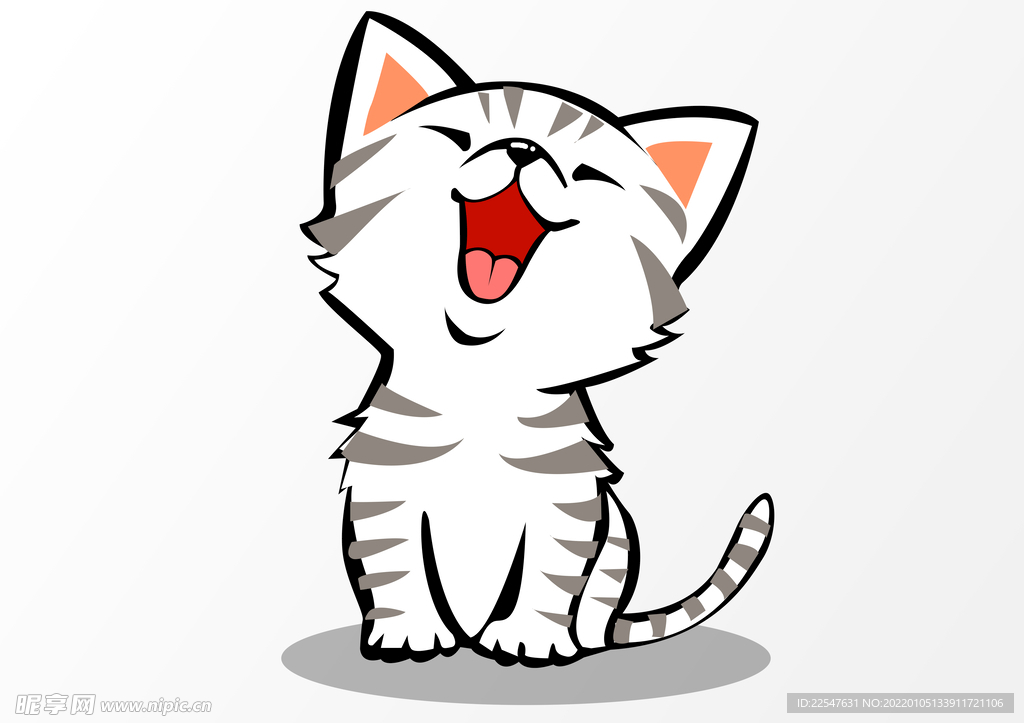 白色猫咪