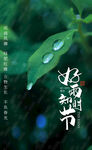 雨水海报