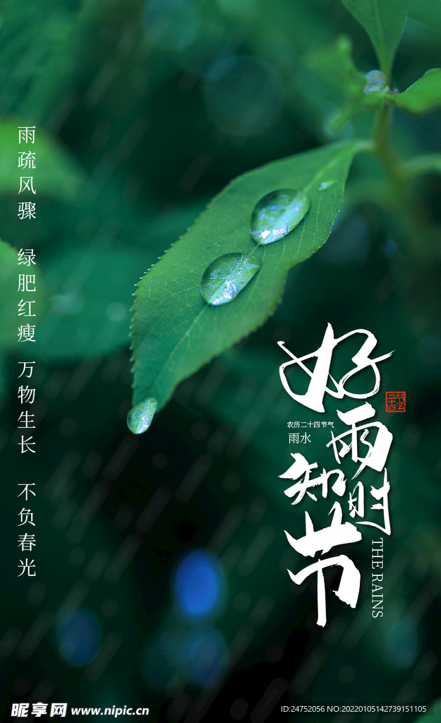 雨水海报