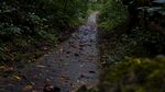 意境道路图片