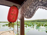 东平湖湿地 游船