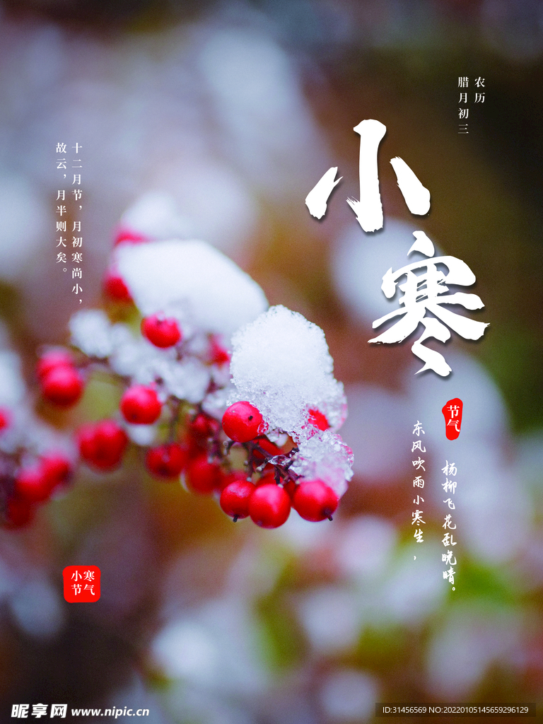 小寒