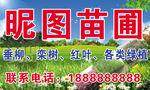 苗圃