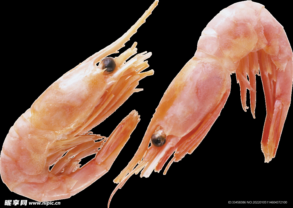 基围虾 菜品 特色小吃 png