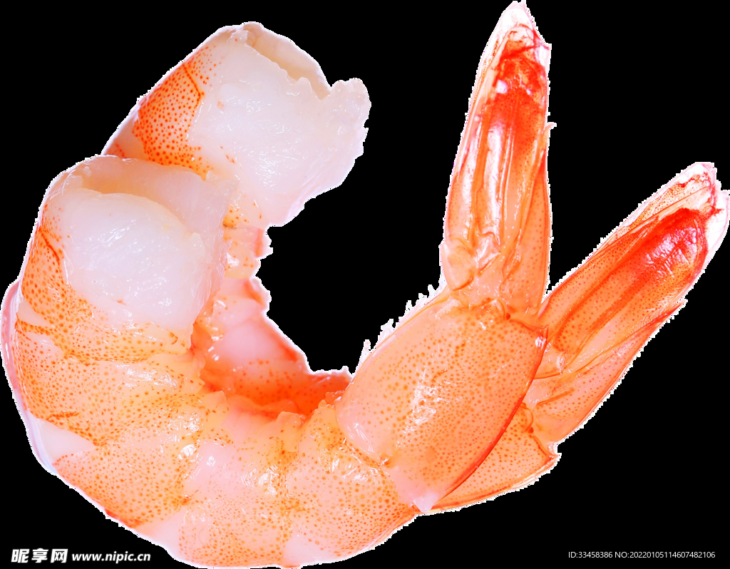 基围虾 菜品 特色小吃 png
