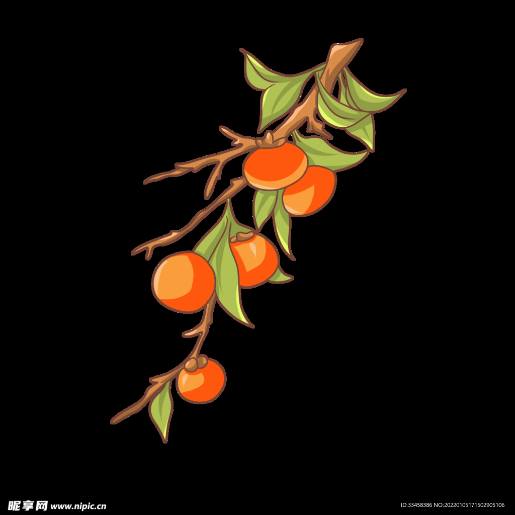 秋季主题果实手绘插画