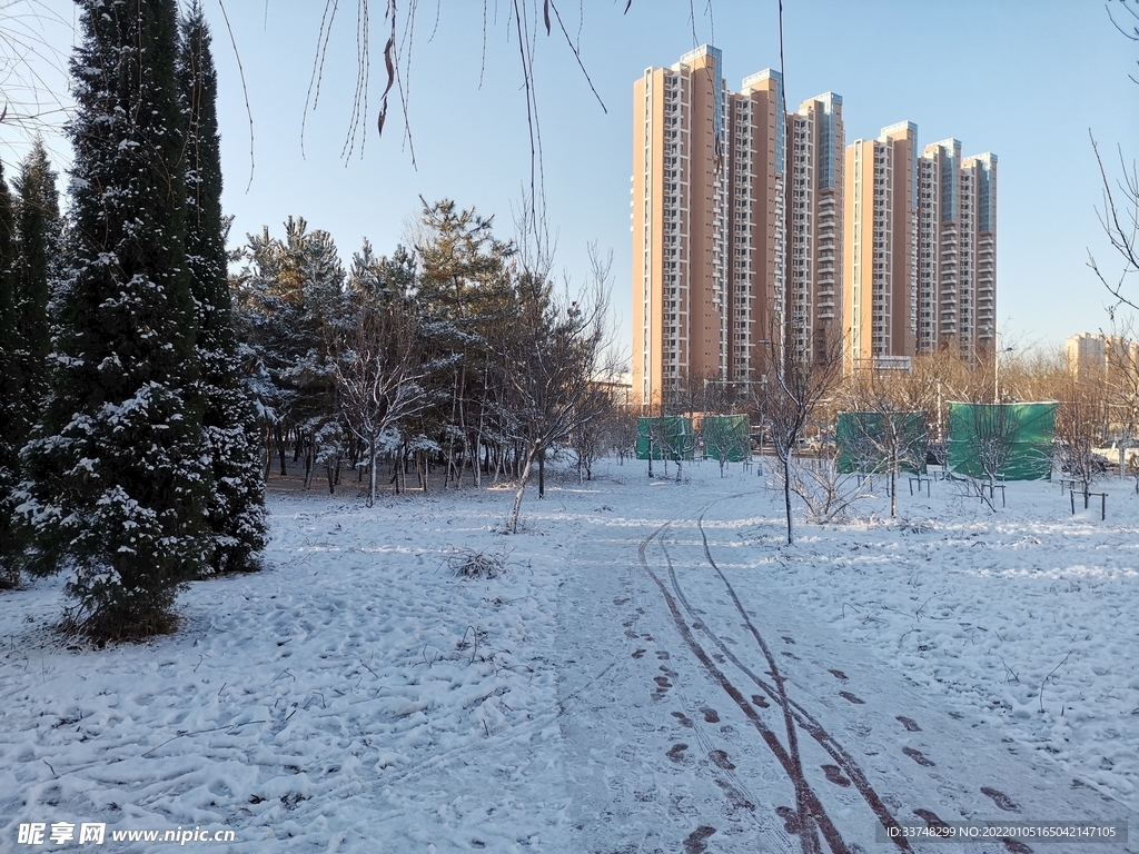 北方雪景